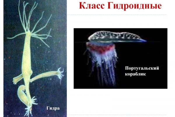 Рабочая ссылка кракен в тор